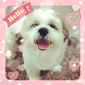 fang's picture