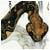 cgcbfty84p's picture